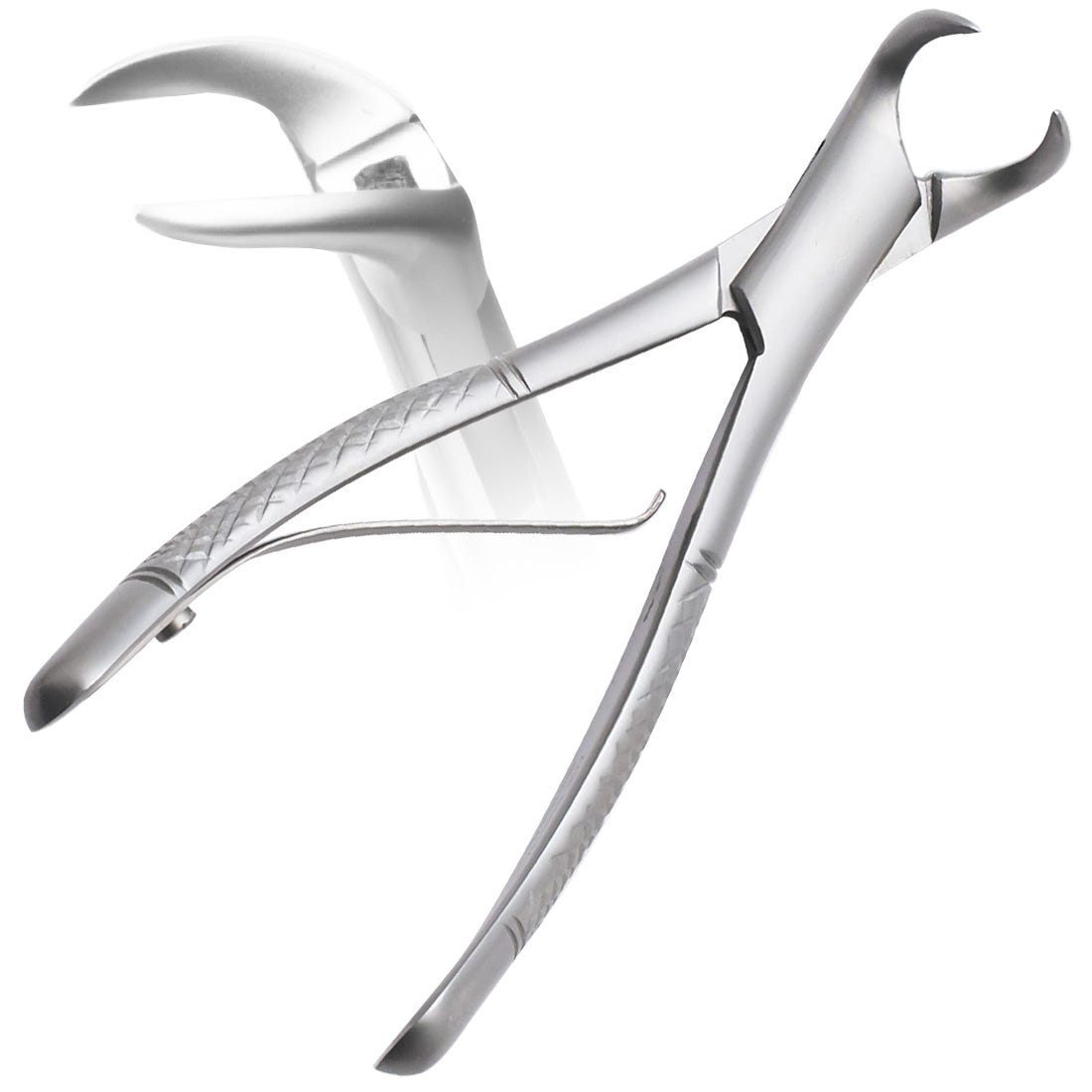 ACE #23C Cowhorn Lower Molar Forceps, Pediatric | ACE SOUTHERN