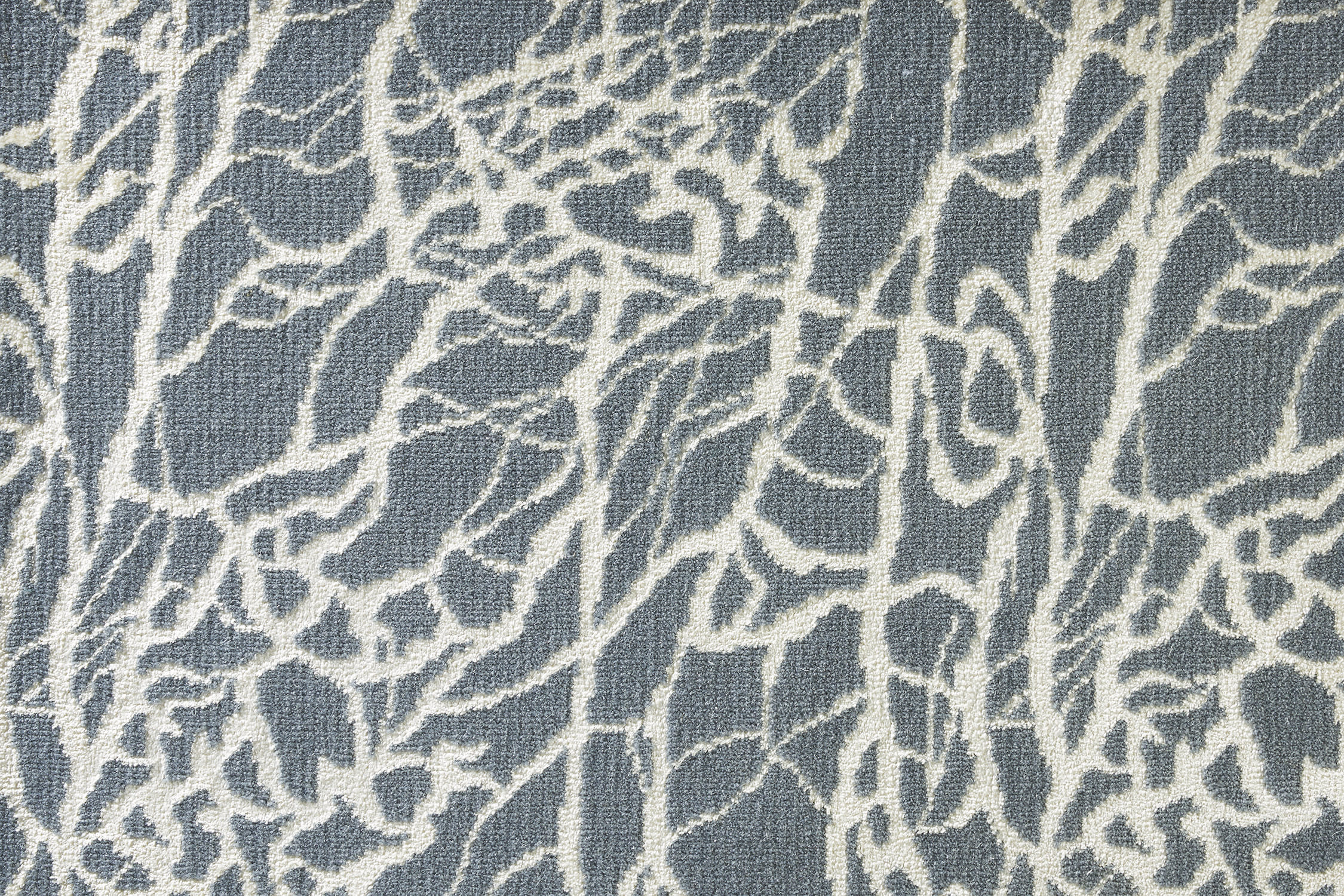 color-rug1