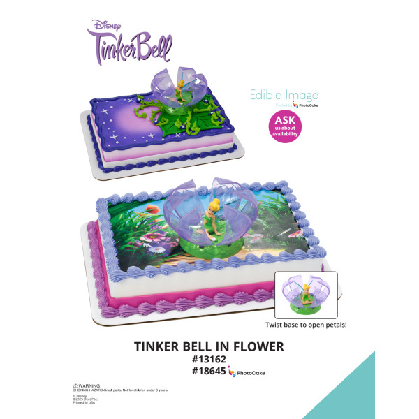Disney's Tinker Bell in Flower The Magic of Cakes® PhotoCake® Enhanced Background and Icing Page
