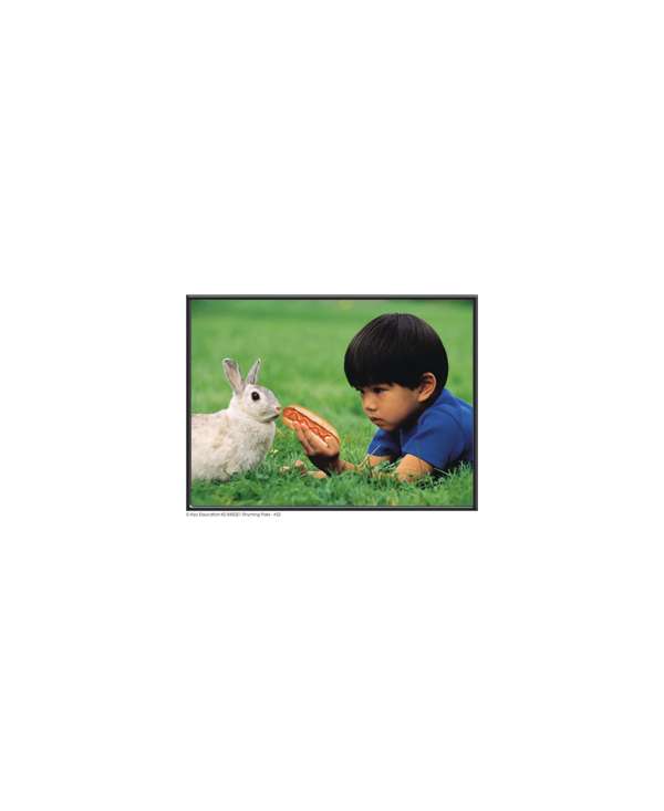 s--IIECYvW3--/mcydlkexrc58lsyjm6hh.jpg