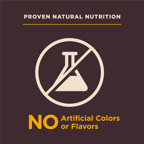 Wellness CORE Digestive Health Puppy Chicken & Brown Rice marketing callout