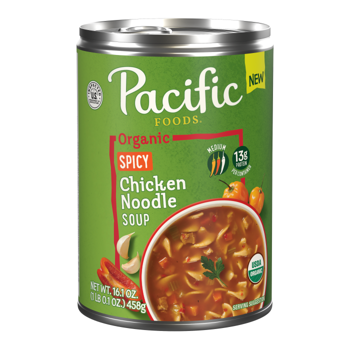 Organic Spicy Chicken Noodle Soup