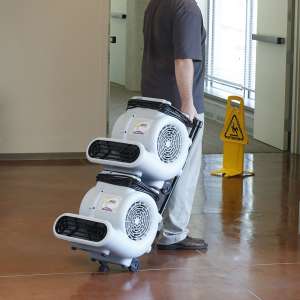 ProTeam, ProBlitz™ XP w/ Telescoping Handle and Daisy Chain, 3 Speed Air Mover