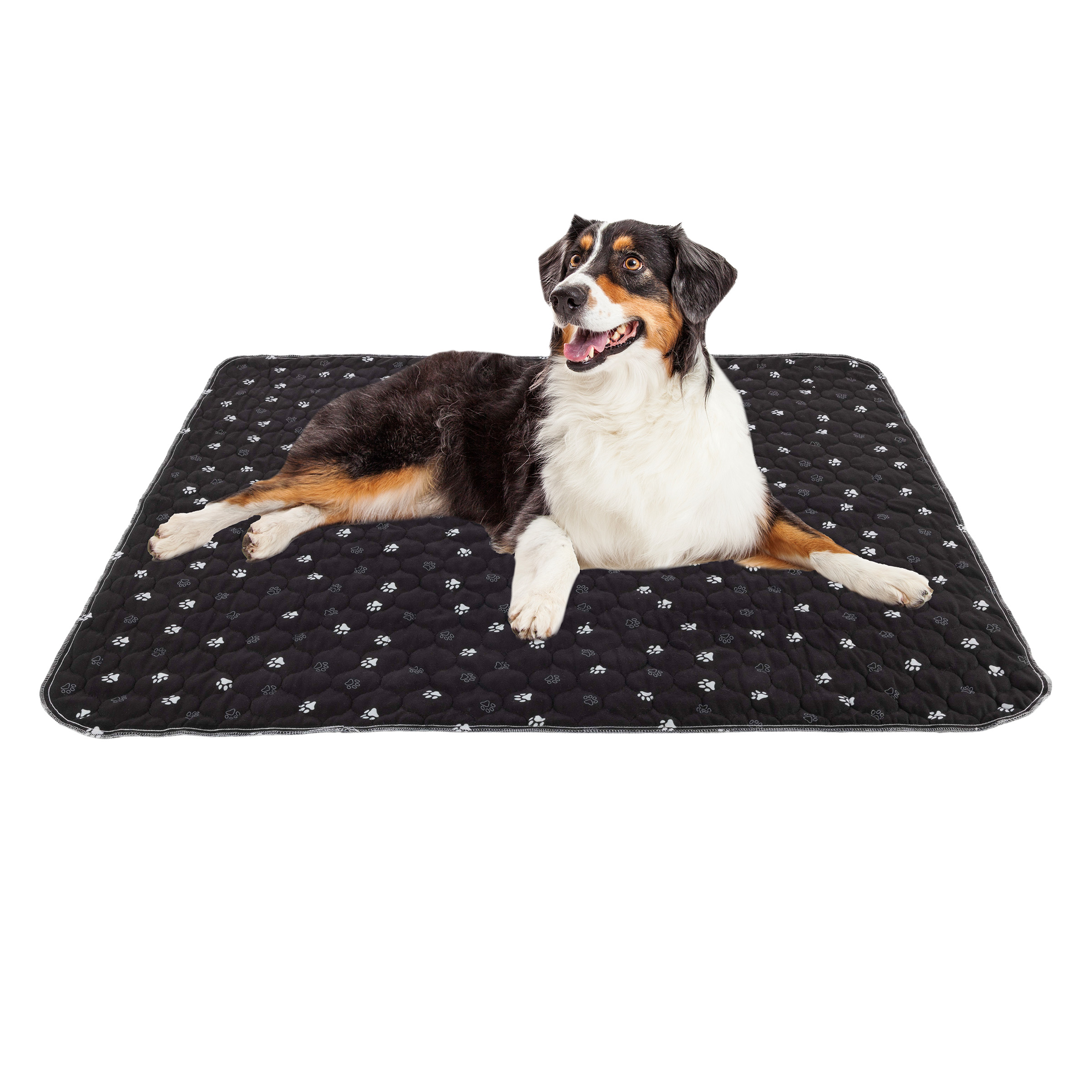 2-Pack Washable Pee Pads for Dogs Reusable Puppy Pads, Black
