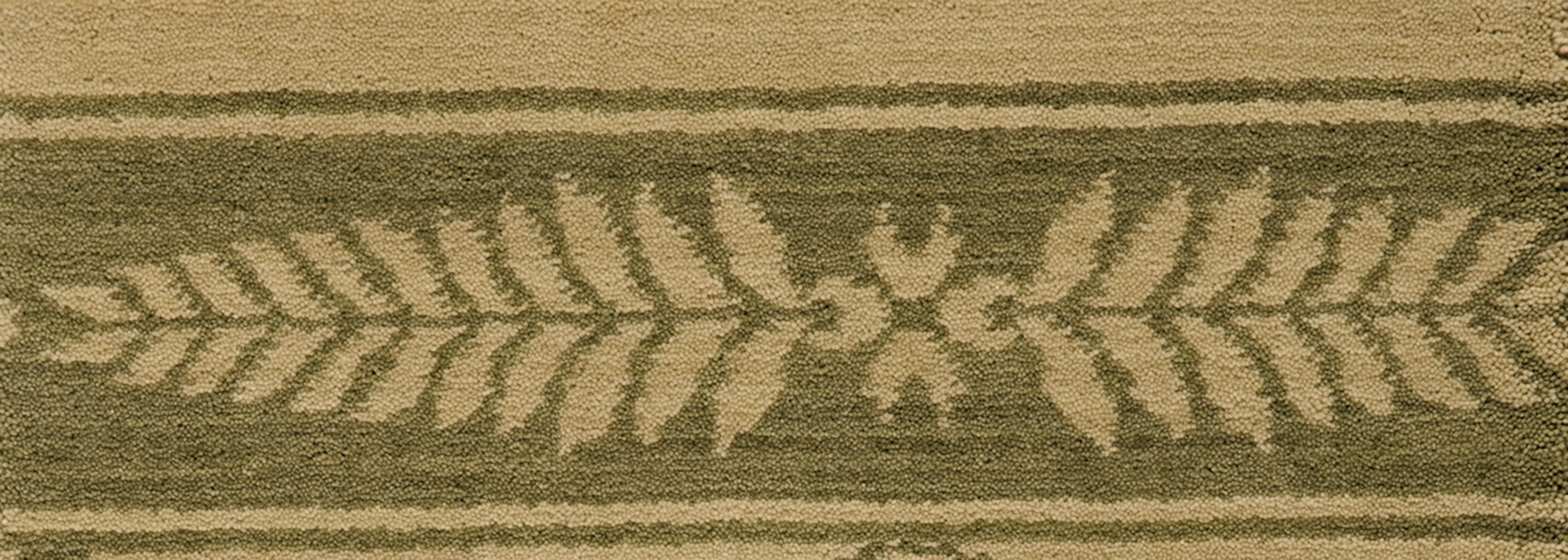 color-rug1