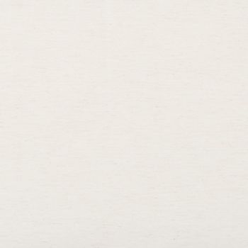 Off-white, slightly speckled paper fills the frame, lying flat and showing fine horizontal grain; neutral, diffuse lighting with no other objects or visible edges.