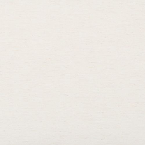 Off-white, slightly speckled paper fills the frame, lying flat and showing fine horizontal grain; neutral, diffuse lighting with no other objects or visible edges.