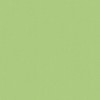 Acacia Green Roller Blind