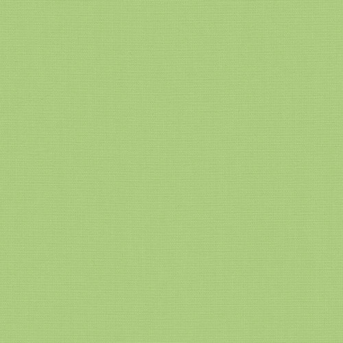 Acacia Green Roller Blind