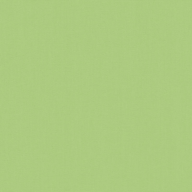 Acacia Green Roller Blind