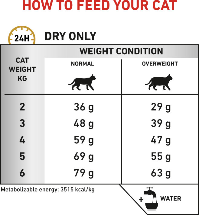 Feeding Guide