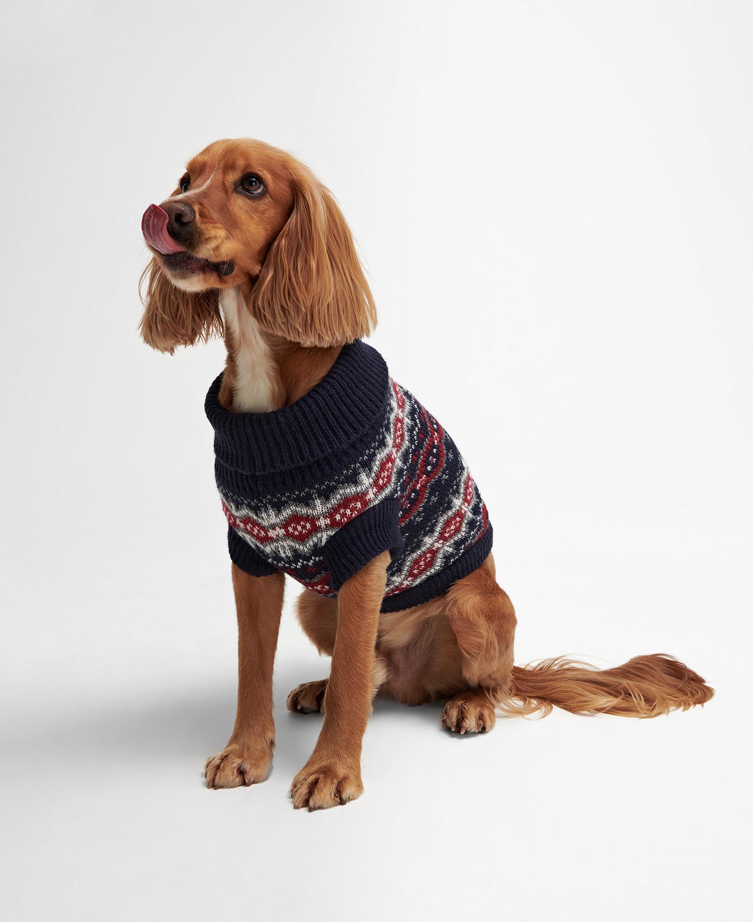 Case Fairisle Dog Jumper image number 0