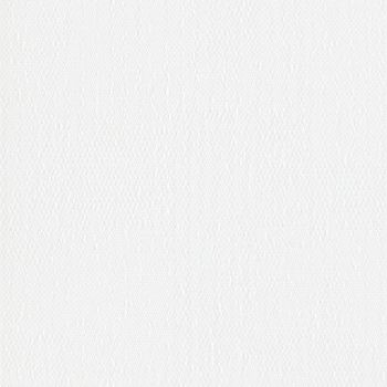 White textured paper or canvas surface filling the frame, displaying subtle pebble-like embossing; evenly lit close-up with a neutral, featureless surrounding.