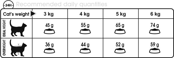 Feeding Guide