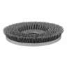 Tennant, TennantTrue, Insta-Click™, 20", Scrub Brush, Abrasive, Gray