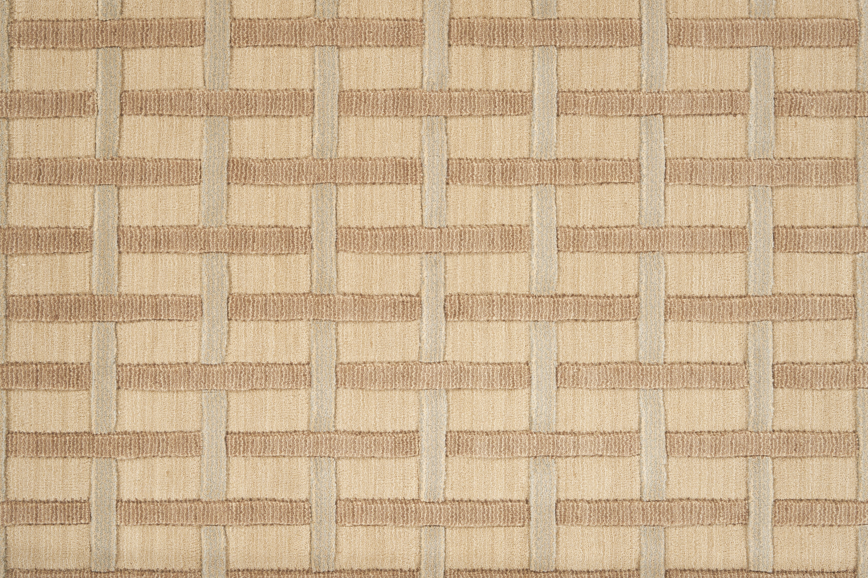 color-rug1