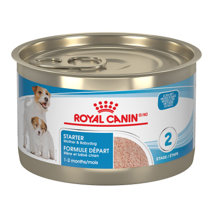 Royal Canin Canine Health Nutrition Starter Mousse Canned Dog Food