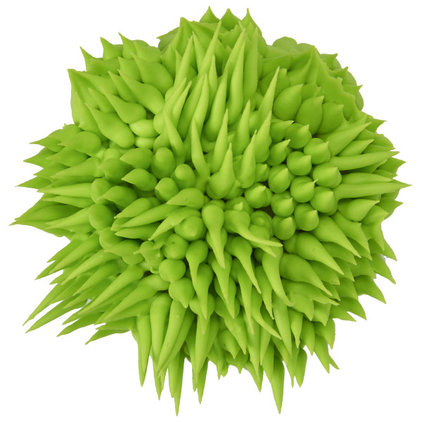 Flower Assortment Russian Decorating Tip