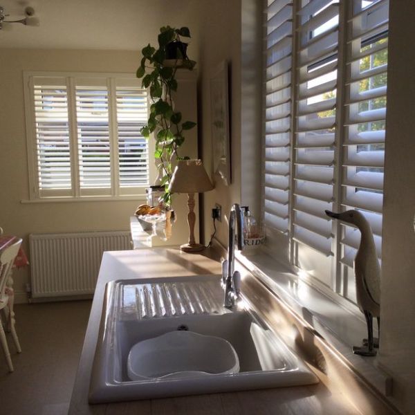 White plantation shutters on two windows, partially open, filtering warm sunlight across a kitchen sink and countertop holding a lamp, trailing potted plant, and decorative bird sculpture.