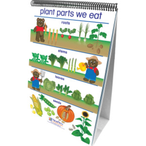 Early Childhood Science Readiness Flip Charts, All About Plants