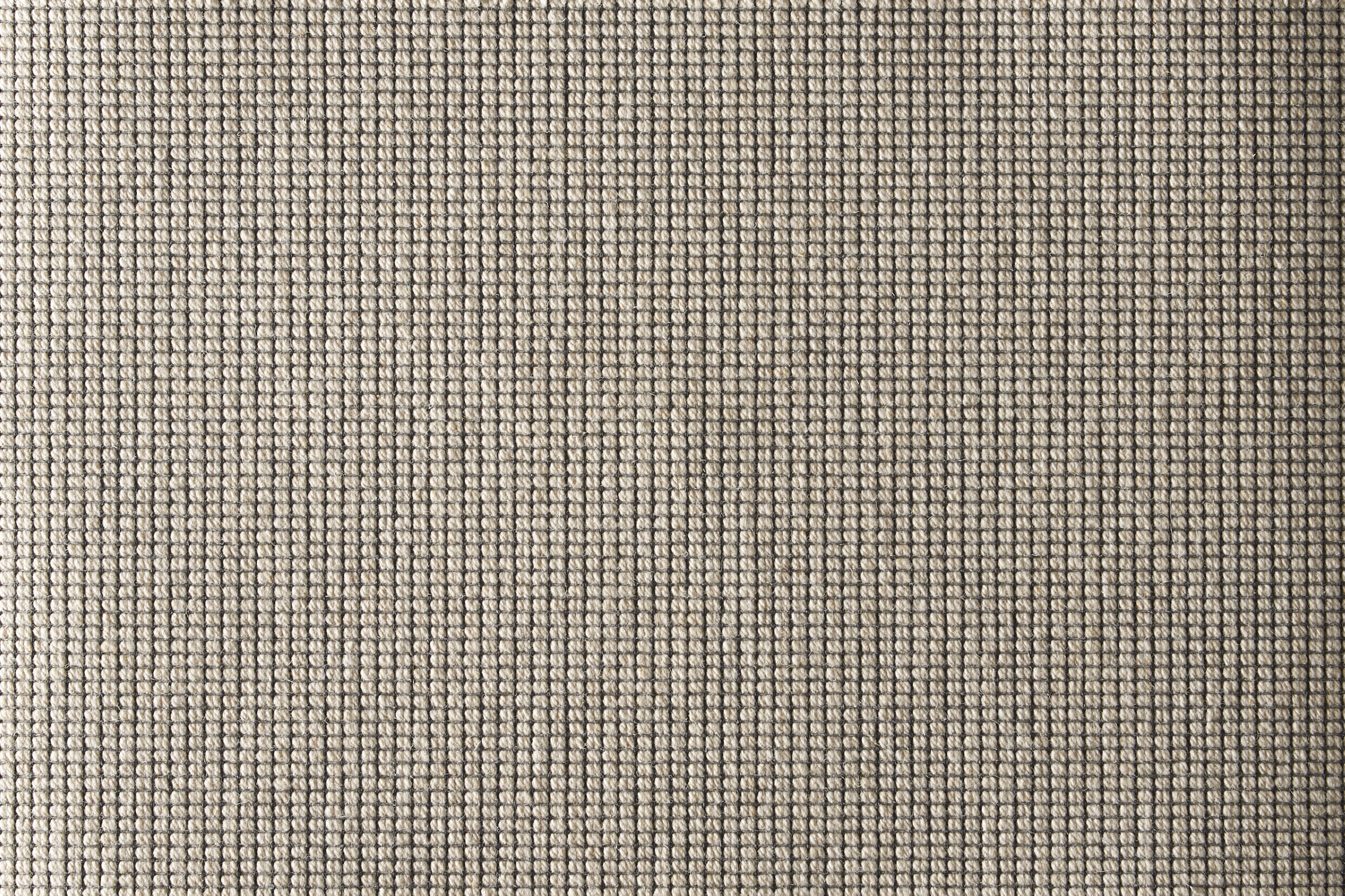 color-rug1