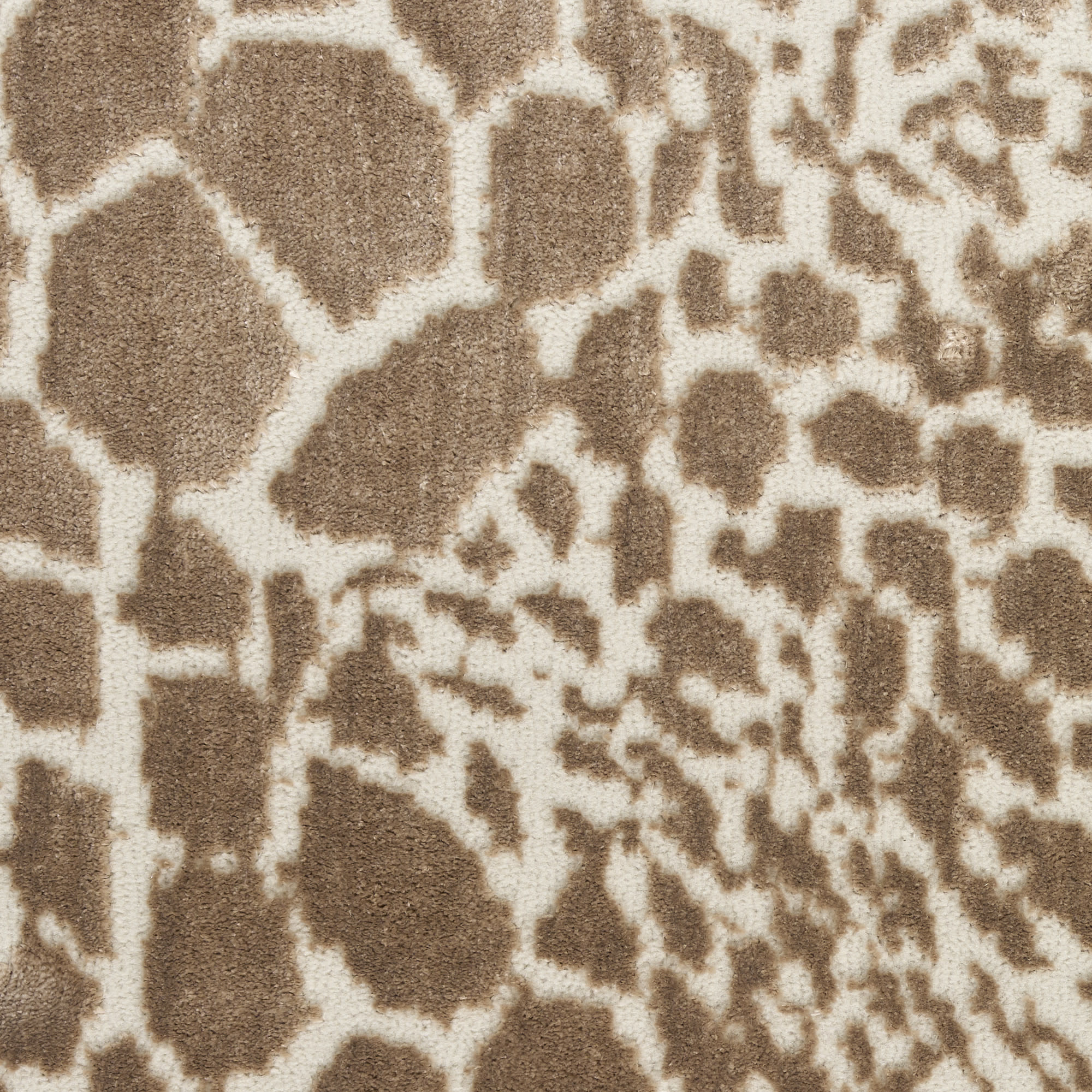 Nourison Desire 3'11" x 5'11" Camel Silver Modern Indoor Rug