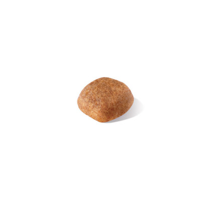 Cavalier King Charles Adult kibble