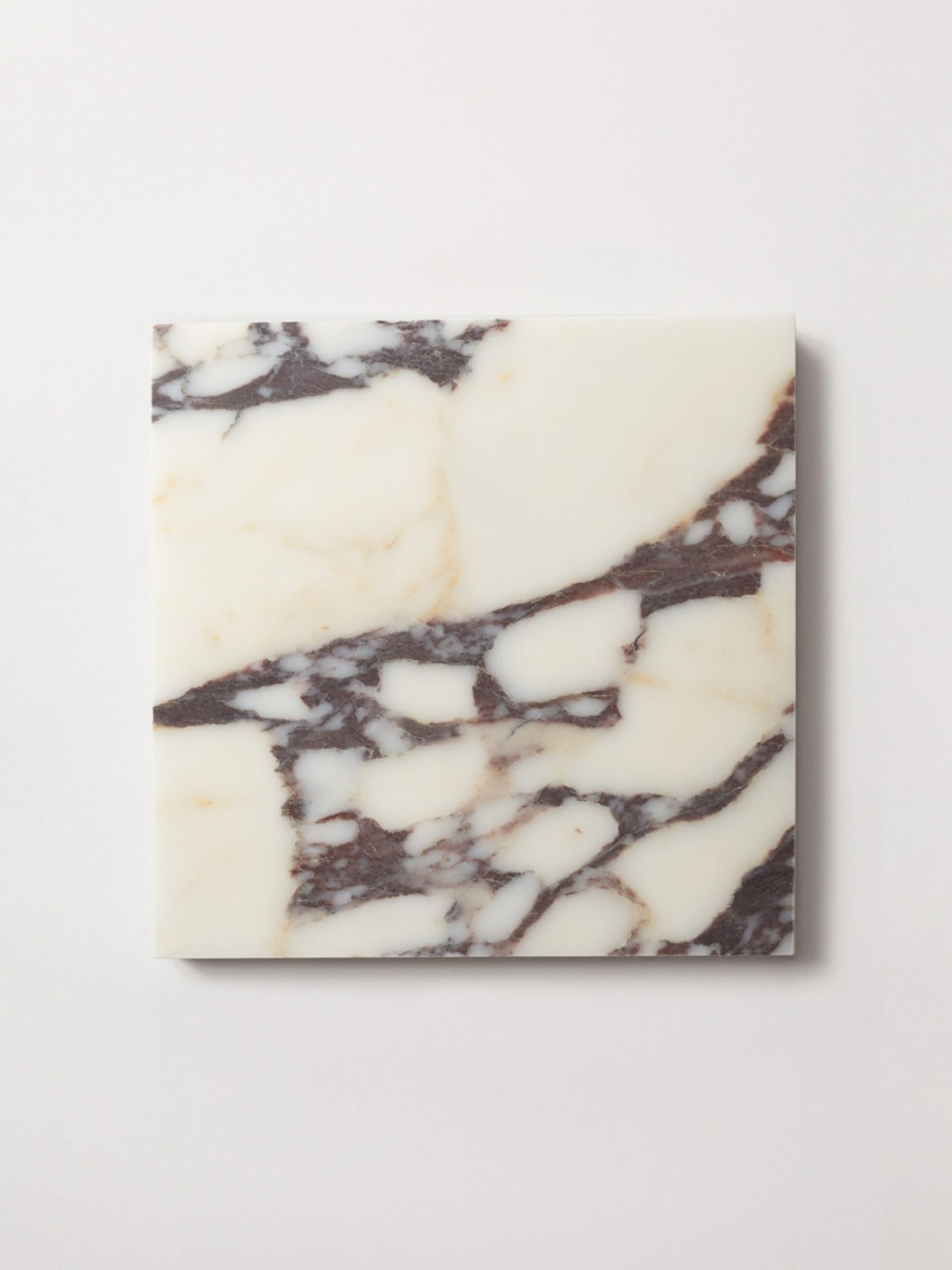 a marble tile on a white surface.