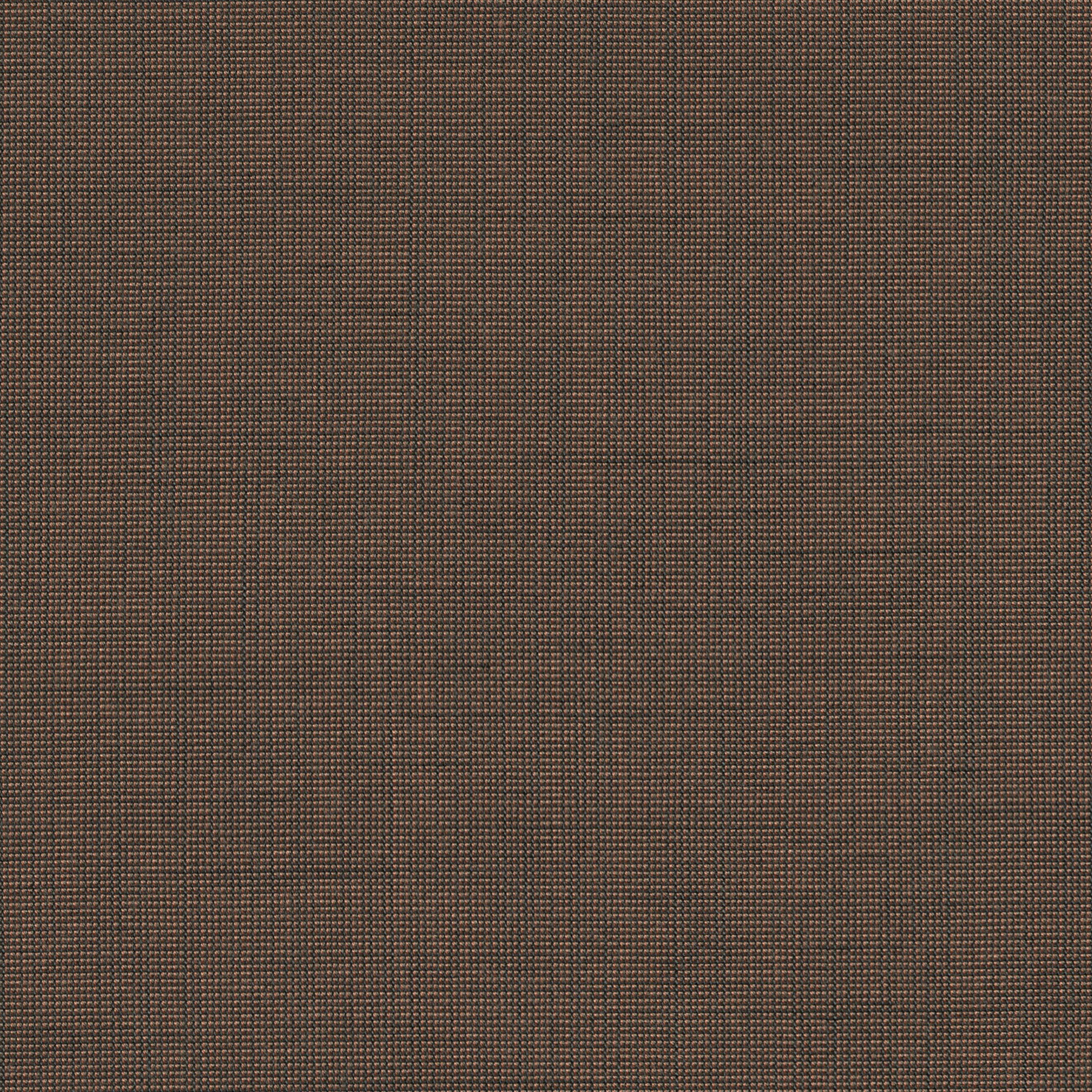 Be Be-81 Roman Blind