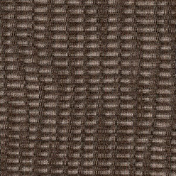 Be Be-81 Roman Blind