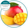 Hillyard, Tidal Wave Urinal Screen, Mango