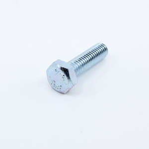 Screw