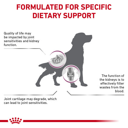 Canine Renal Support + Advanced Mobility Support Dry Dog Food