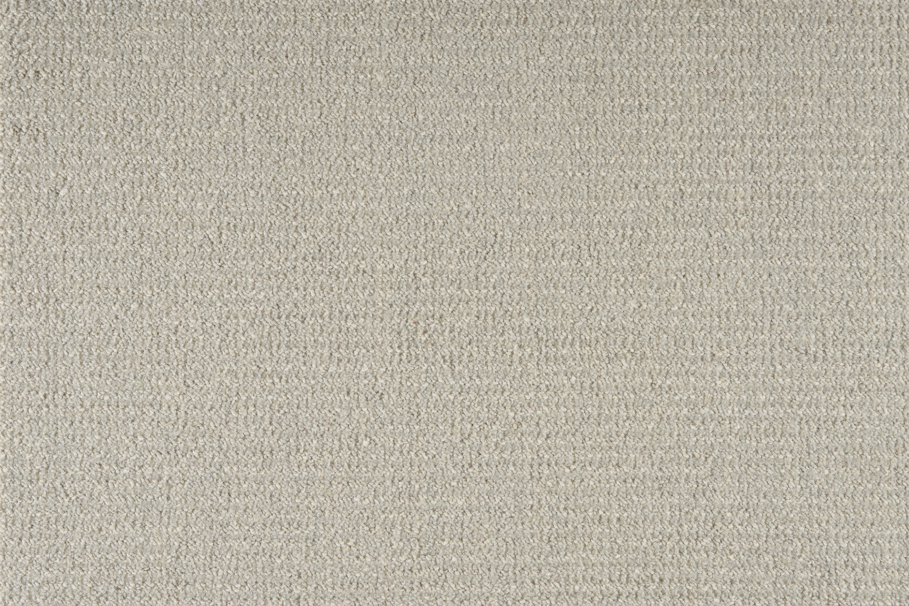 color-rug1