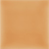 Vivid Apricot 4×4 Field Tile Glossy