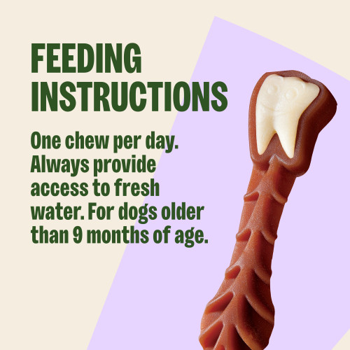 One chew per day. Always provide access to fresh water. For dogs older than 9 months of age.