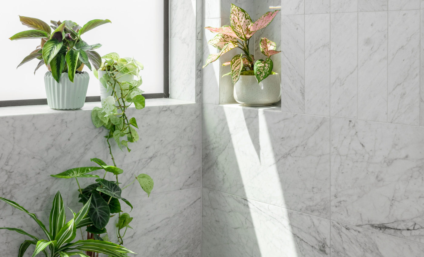 a bathroom with plants and a window.