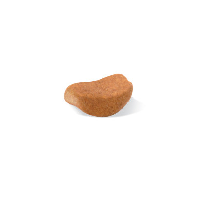 Rottweiler Adult kibble