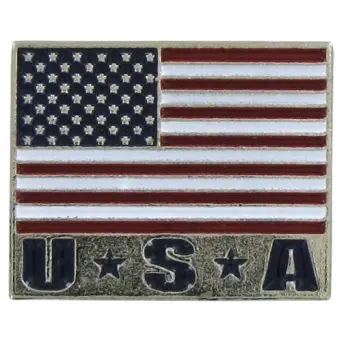 Silver USA Pin - .75