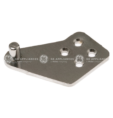 HINGE DR ASM
