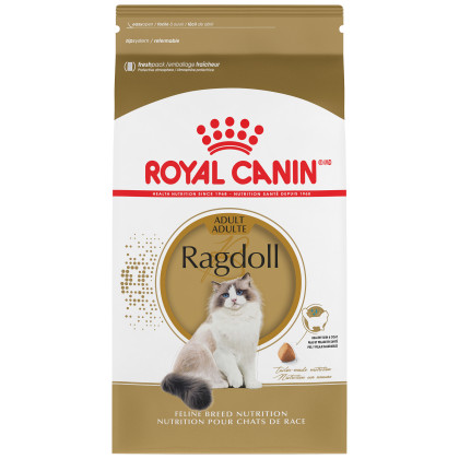 Royal Canin Feline Breed Nutrition Ragdoll Dry Cat Food