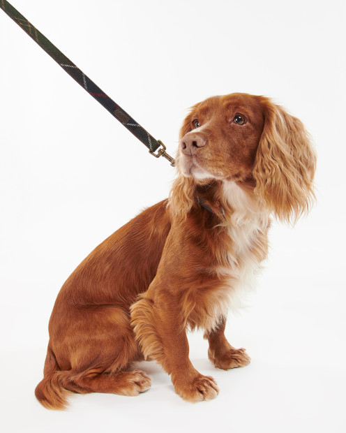 Guinzaglio per cani Tartan 