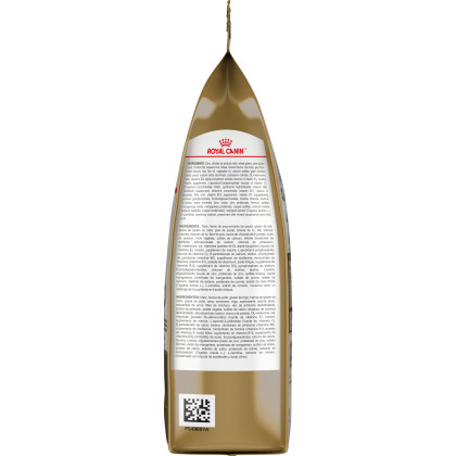 Royal Canin Feline Breed Nutrition American Shorthair Dry Cat Food