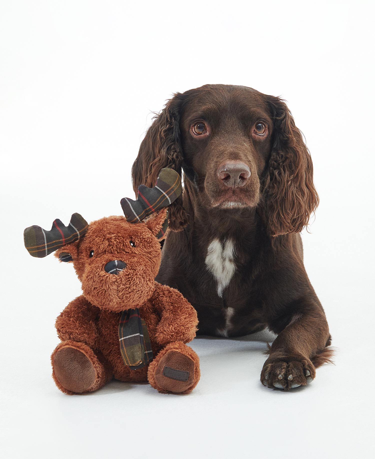 Reindeer Dog Toy image number 0