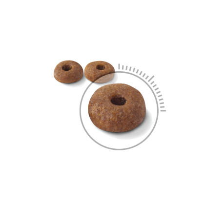 Light Weight Care kibble