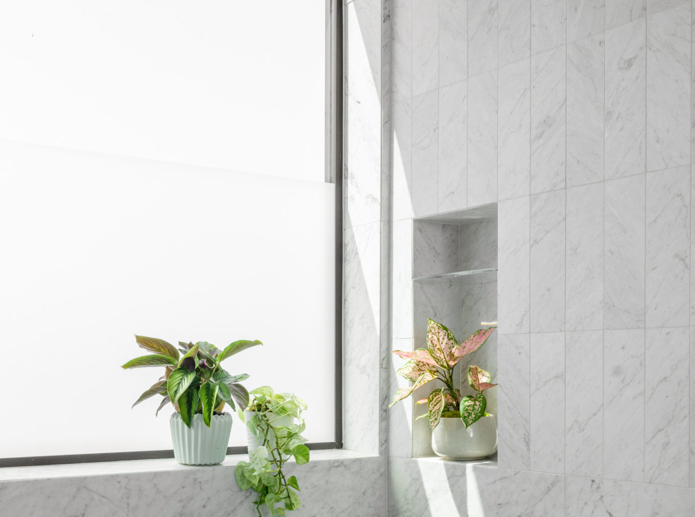 a white bathroom with plants and a window.