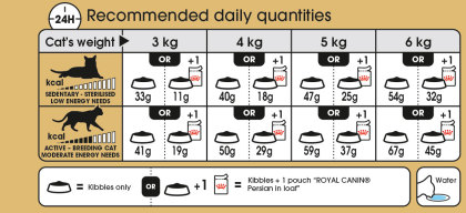 Persian feeding guide