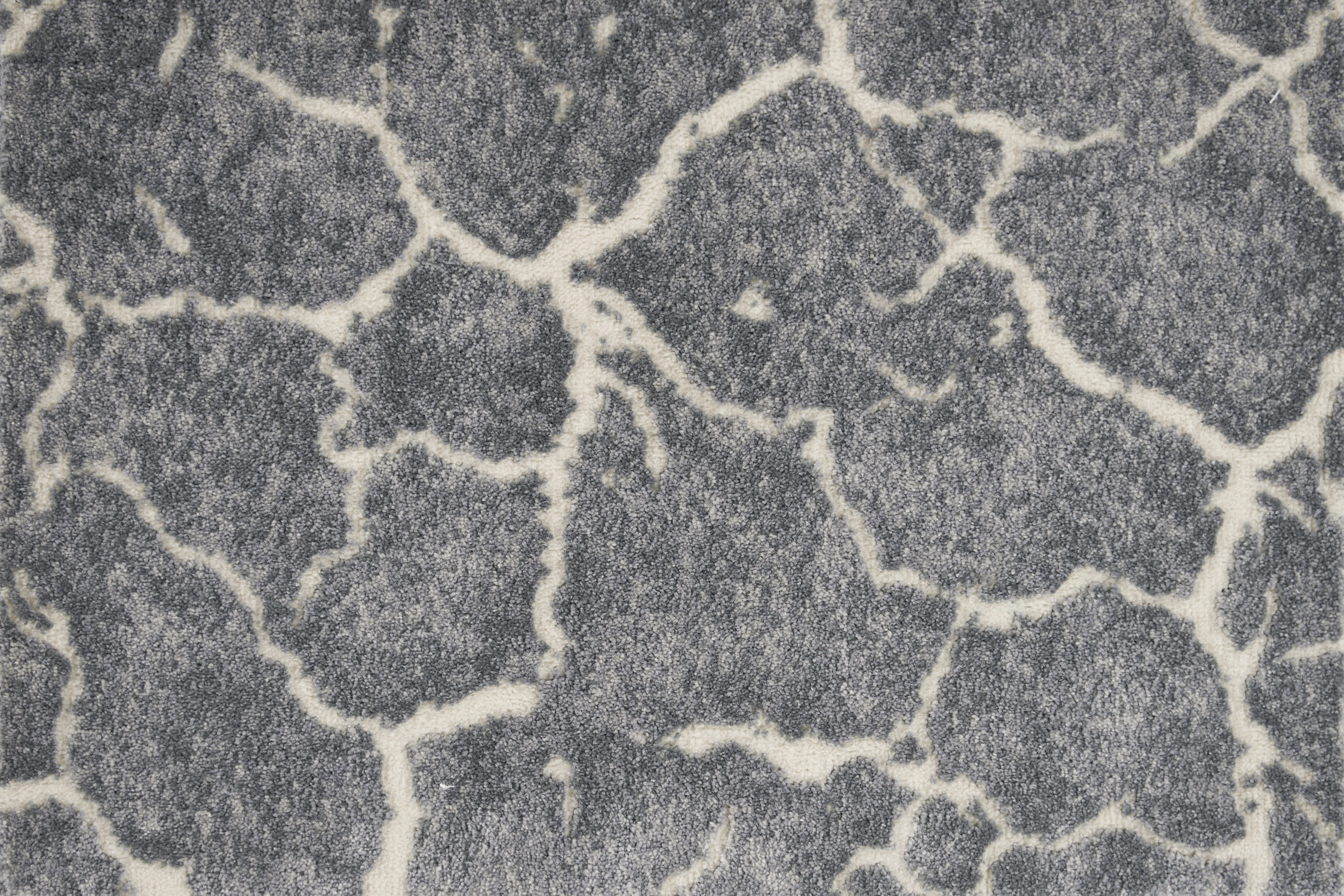 color-rug1