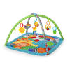 Zippy Zoo™ Activity Gym