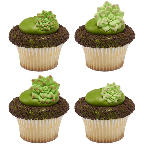 Succulents Sweet Décor® Edible Decorations